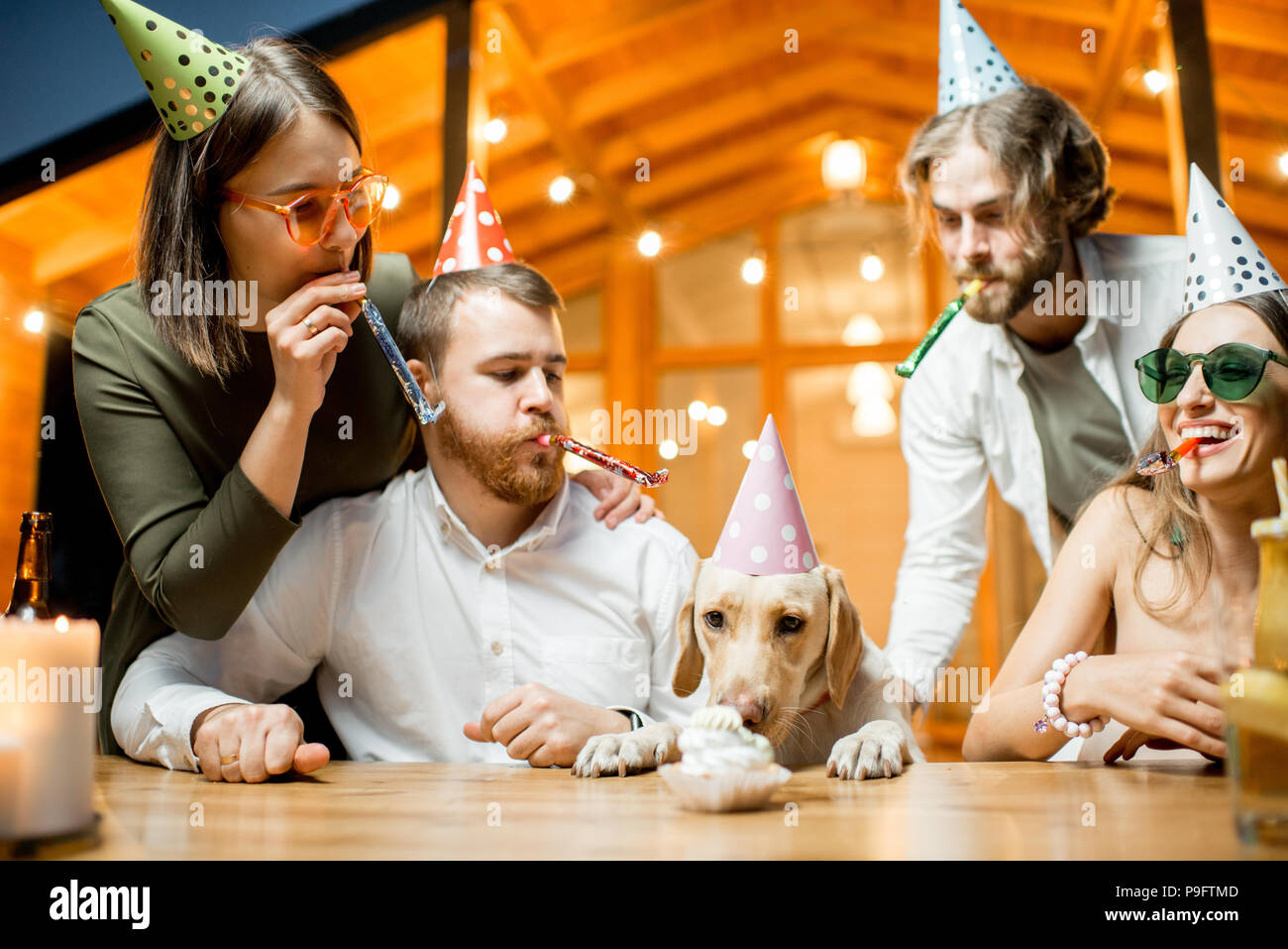 Puppy Birthday Hat Stockfotos und -bilder Kaufen - Alamy