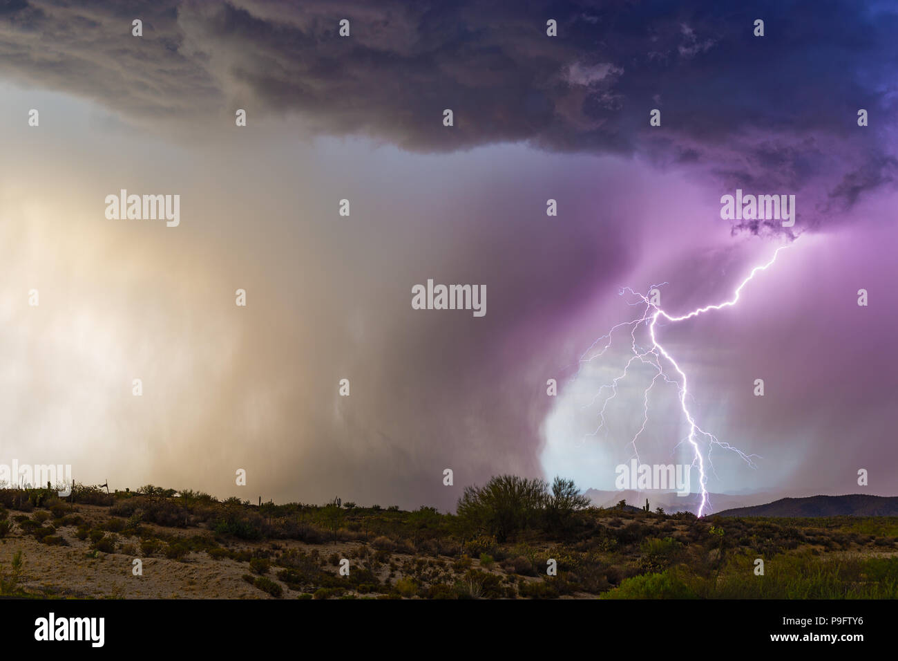 Dramatischer Blitzeinschlag und starker Mikrostoß von einem Monsunwetter in der Nähe von Florence, Arizona Stockfoto