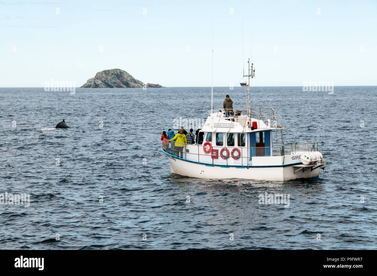 Menschen auf eine Whale Watching Boot gerade ein buckelwal vor der Küste bei Twillingate Neufundland. Stockfoto