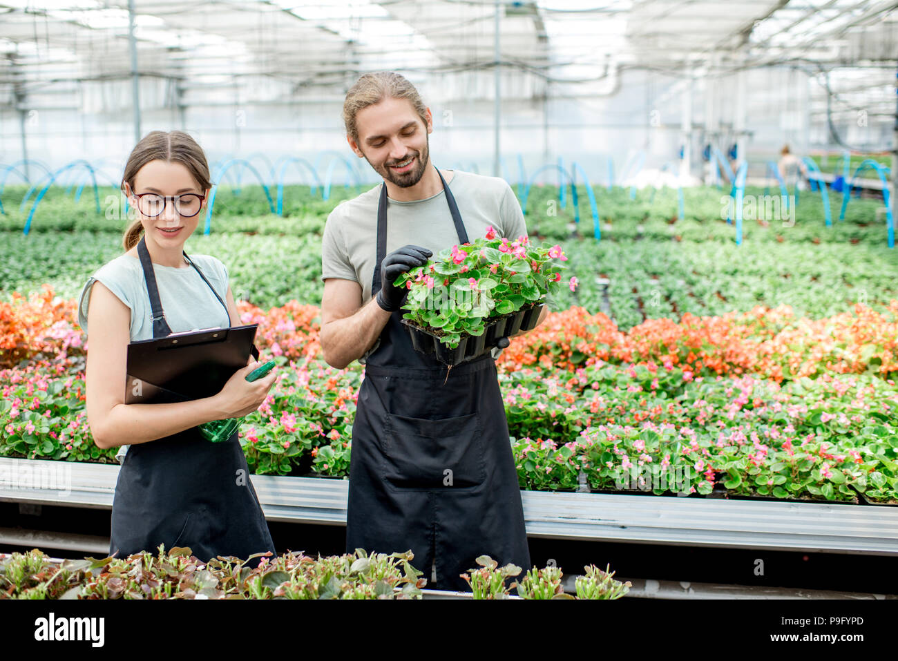 Arbeitnehmer mit Blumen im Gewächshaus Stockfoto