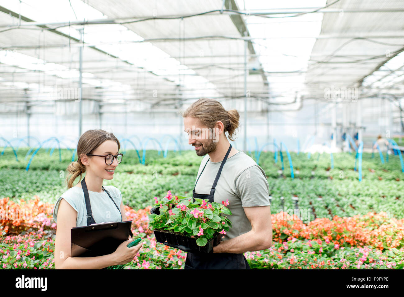 Arbeitnehmer mit Blumen im Gewächshaus Stockfoto