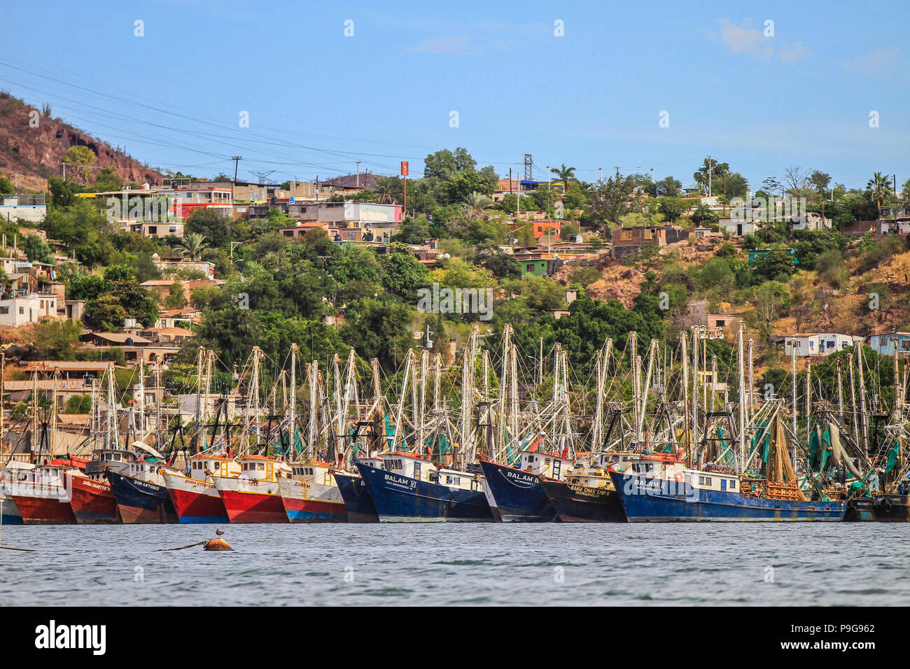 Bericht der Fischerhafen von Guaymas Sonora. Reportaje del Puerto pesquero de Guaymas Sonora. Stockfoto