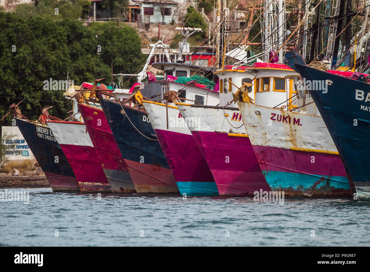 Bericht der Fischerhafen von Guaymas Sonora. Reportaje del Puerto pesquero de Guaymas Sonora. Stockfoto