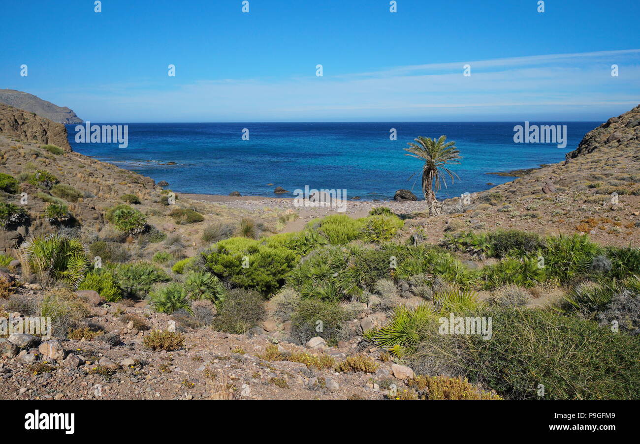 Wild Cove in Cabo de Gata-Níjar Naturparks, Cala de Los Toros in der Nähe von La Isleta del Moro, Mittelmeer, Almeria, Andalusien, Spanien Stockfoto