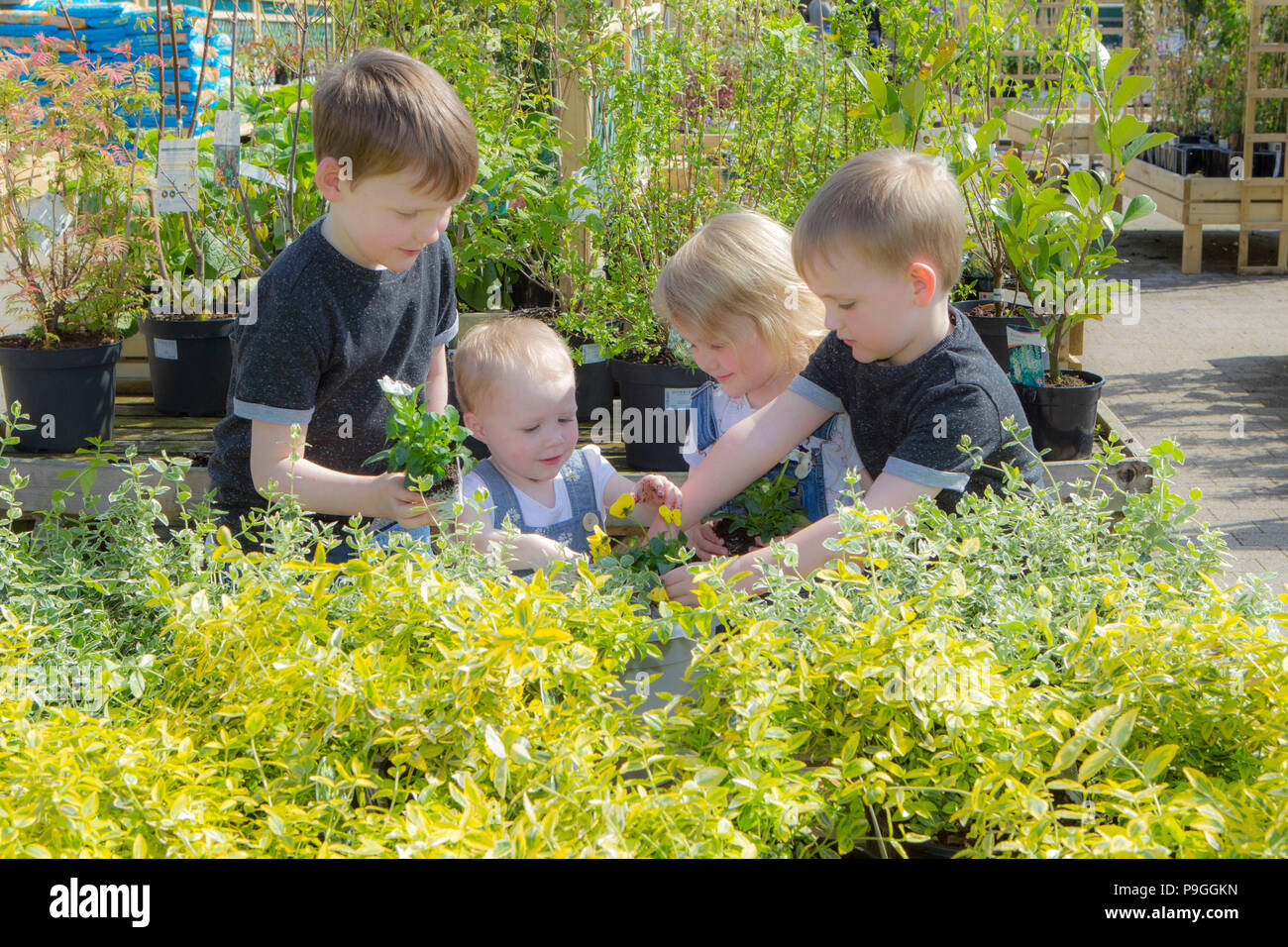 Kinder an Pflanzen im Garten Center suchen Stockfoto