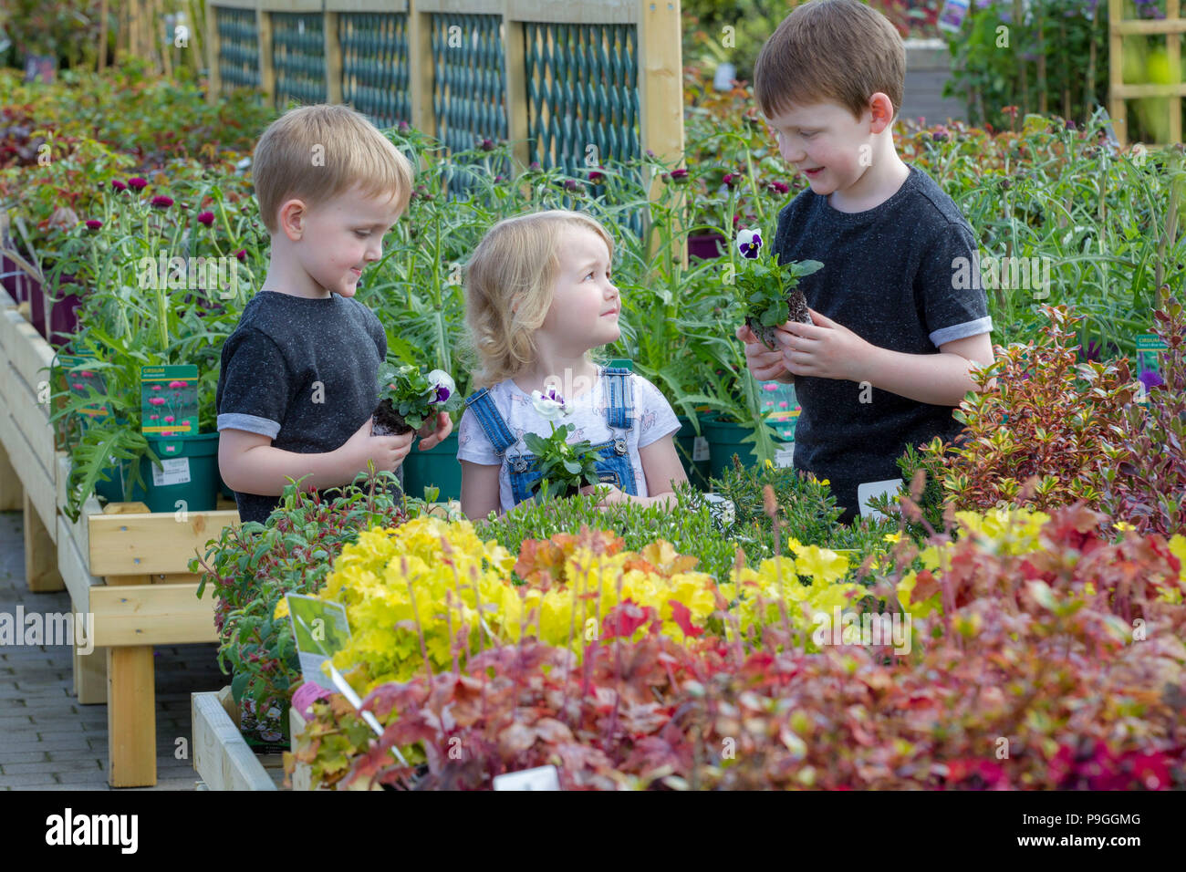 Kinder an Pflanzen im Garten Center suchen Stockfoto