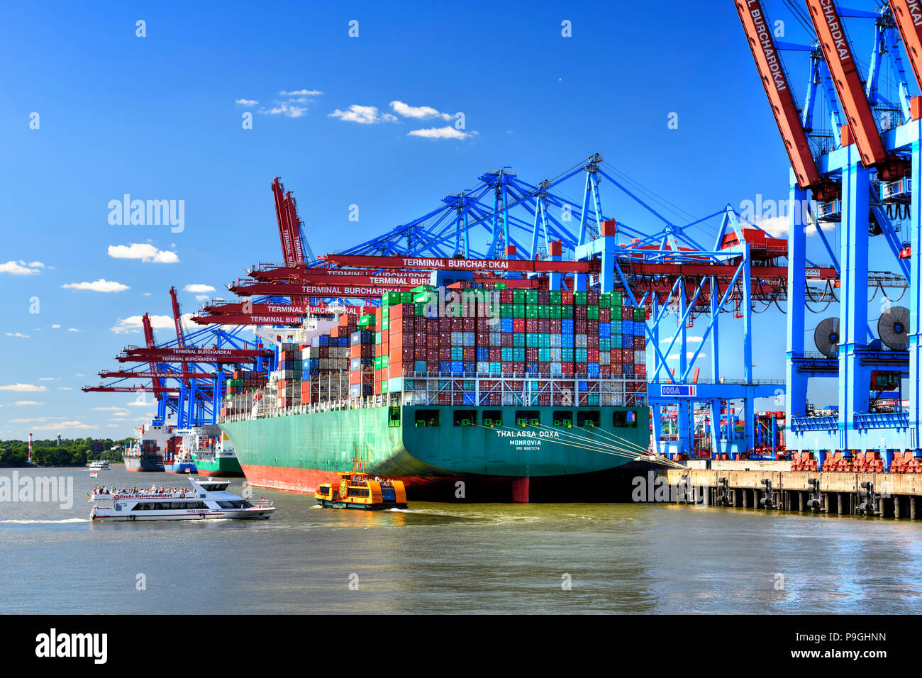 Containerschiffe im Hafen von Hamburg, Deutschland, Europa Stockfoto