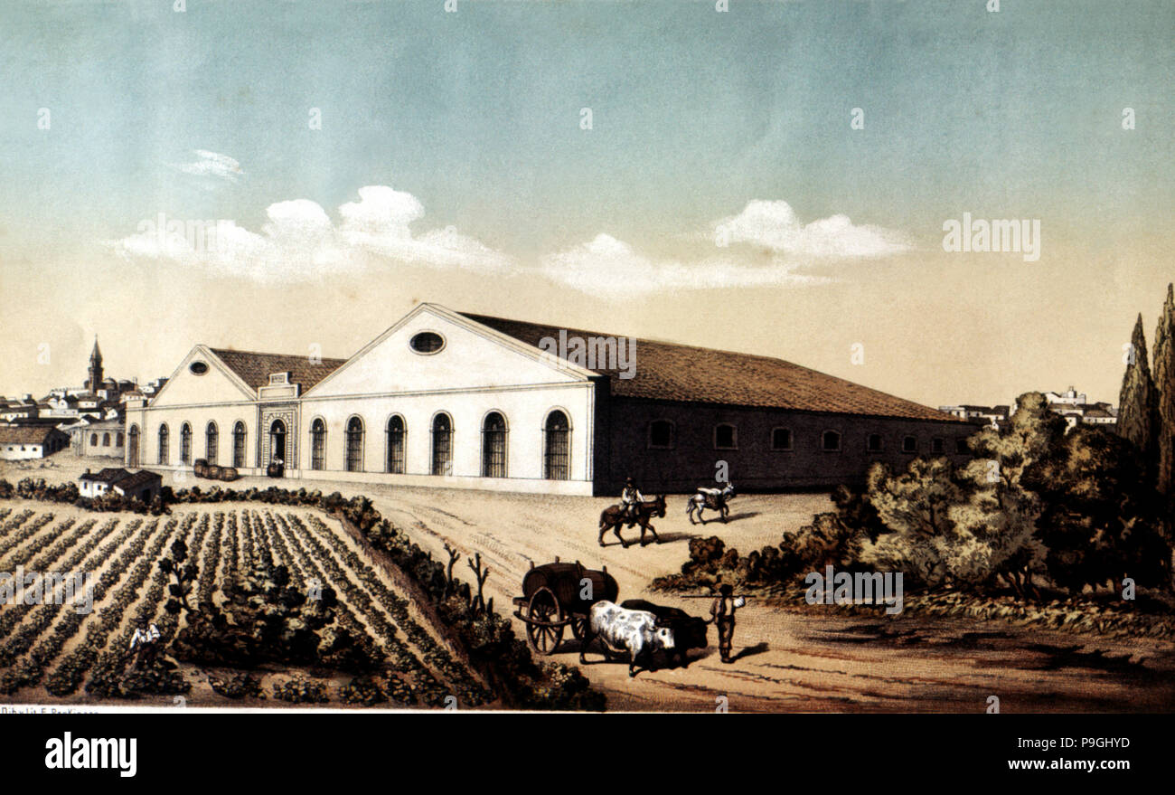 Außenansicht des Gebäudes und die Weinberge der Bodegas in Jerez de la Frontera, Lithographie von… Stockfoto