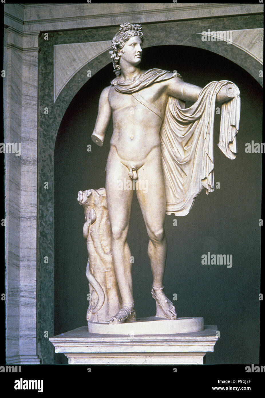 Apollo Belvedere. Stockfoto