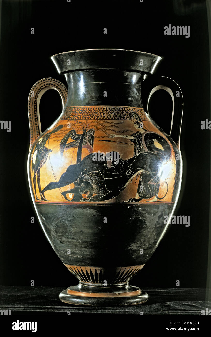 Herakles im Kampf gegen die Löwen von Nemea', Dachboden, schwarz - Abbildung Amphore aus Vulci. Stockfoto