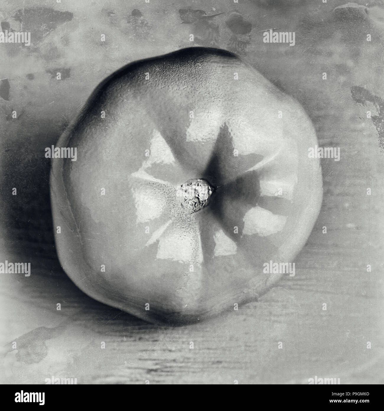 Konzeptionelle Dekoration eines Cafe: Weiß lackiert Tomaten auf Holzuntergrund. Schwarz und Weiß vintage Farbe für Gemüse. Alter film Vintage-effekt Stockfoto