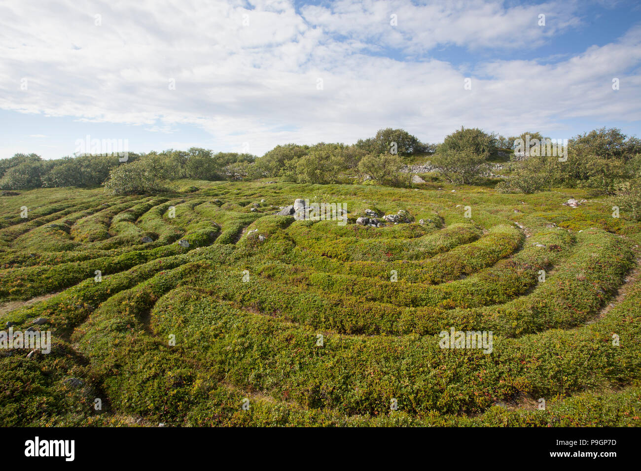 Jungsteinzeit Stein Labyrinth, Solovetsky Inseln, Russland Stockfoto