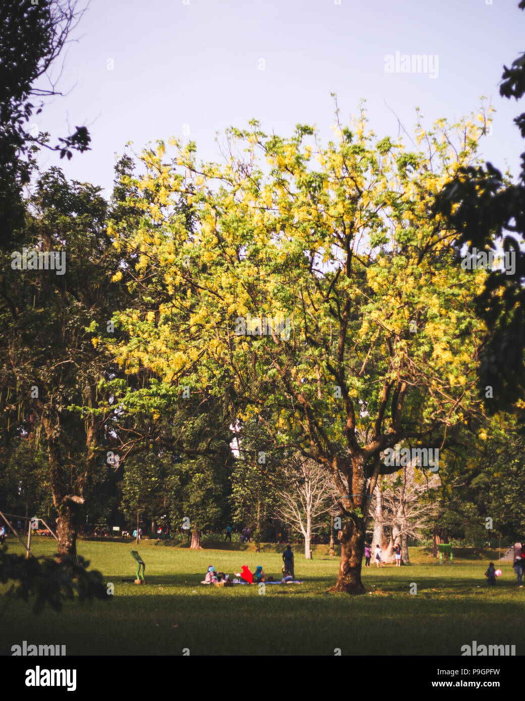 Botanischer garten bogor indonesien Fotos und Bildmaterial in hoher