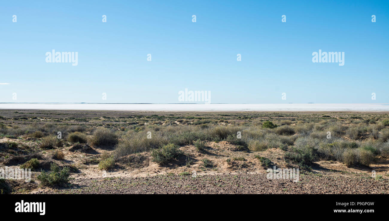 Wüste-schrubben, South Australia Stockfoto