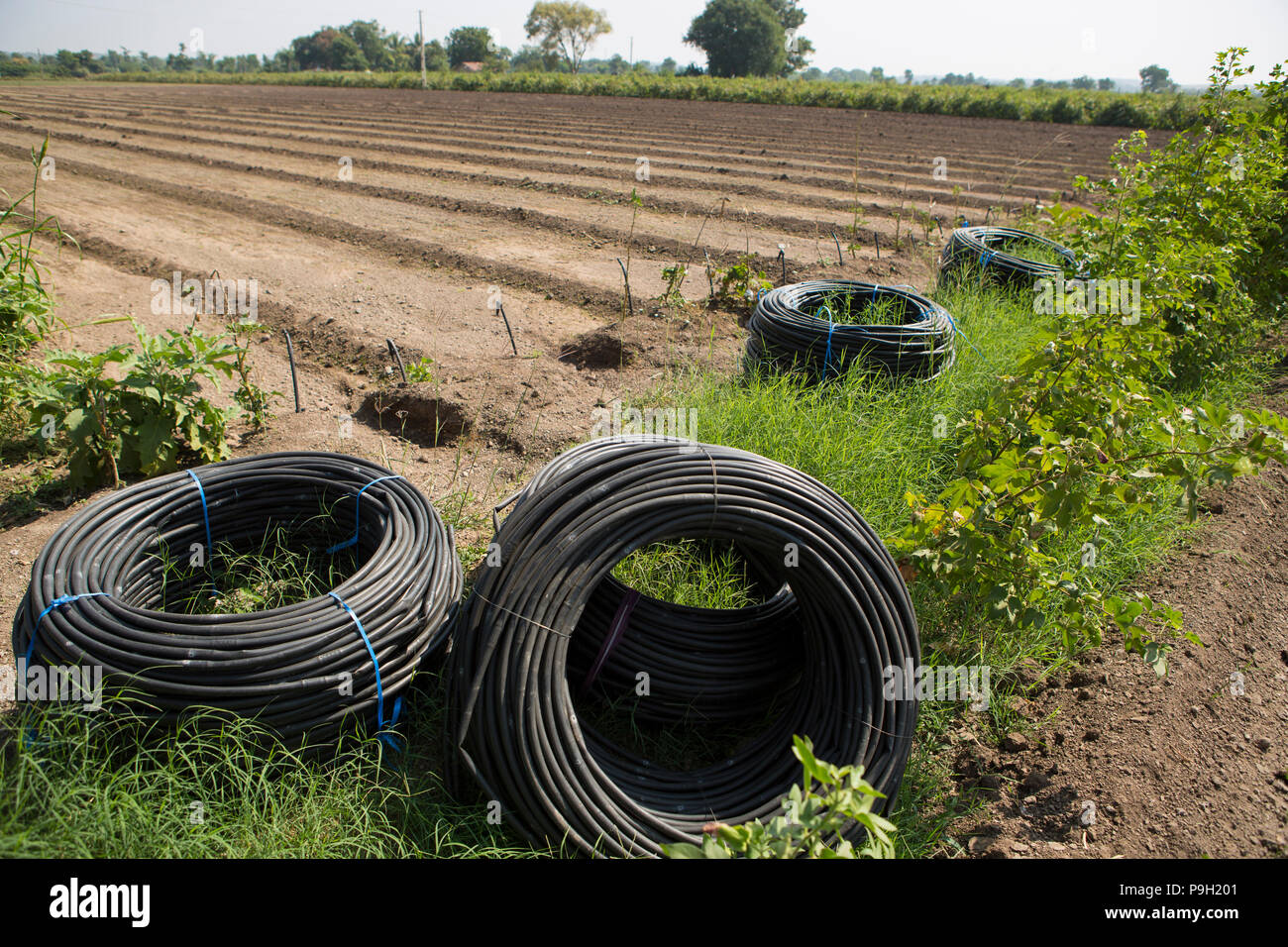 Bewässerung Rohre in einem Feld Gestapelt und bereit, auf einem Bauernhof in Indien installiert werden. Stockfoto