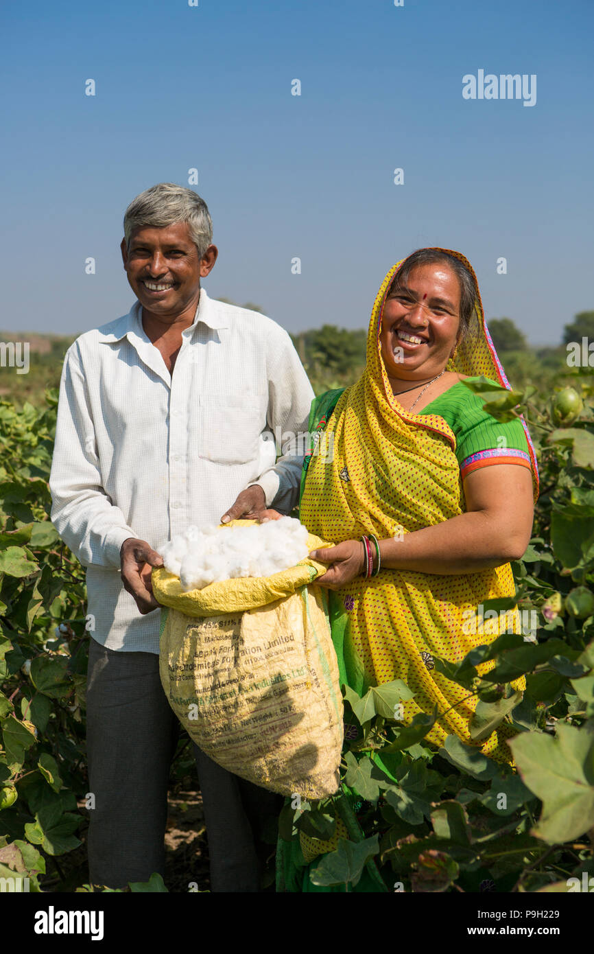 Ein Porträt von Mann und Frau mit Baumwolle Baumwolle ernten auf ihrer Farm in Ahmedabad, Indien. Stockfoto