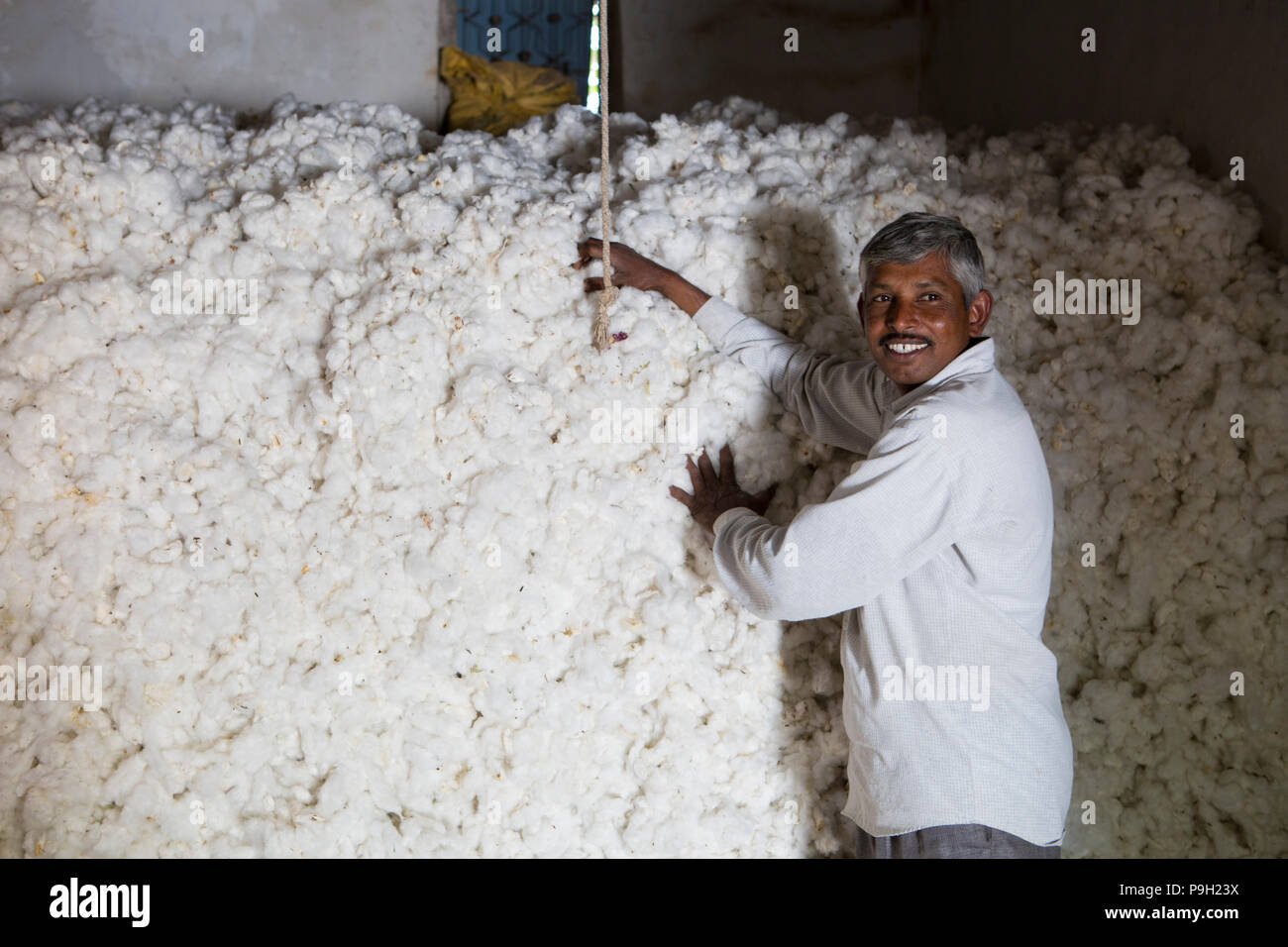 Ein Bauer seine Baumwolle Baumwolle Ernte, Lagerung, Ahmedabad, Indien. Stockfoto
