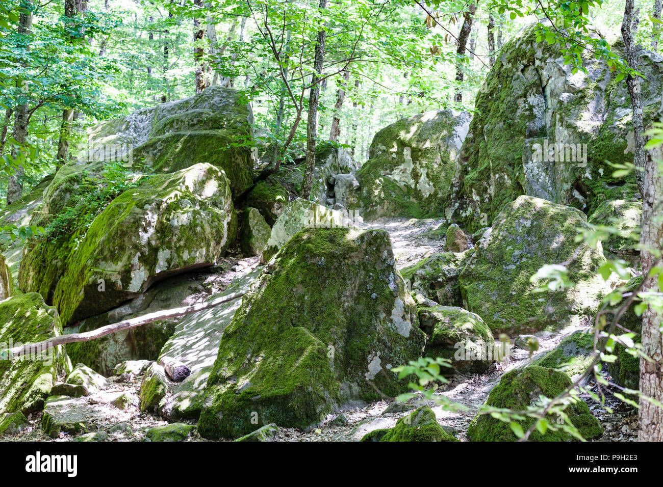 Tour zu Shapsugskaya anomale Zone - Sandsteinfelsen in prähistorischer Shambala Steinbruch in Abinsk Ausläufern des Kaukasus in der Kuban-region von Russ Stockfoto