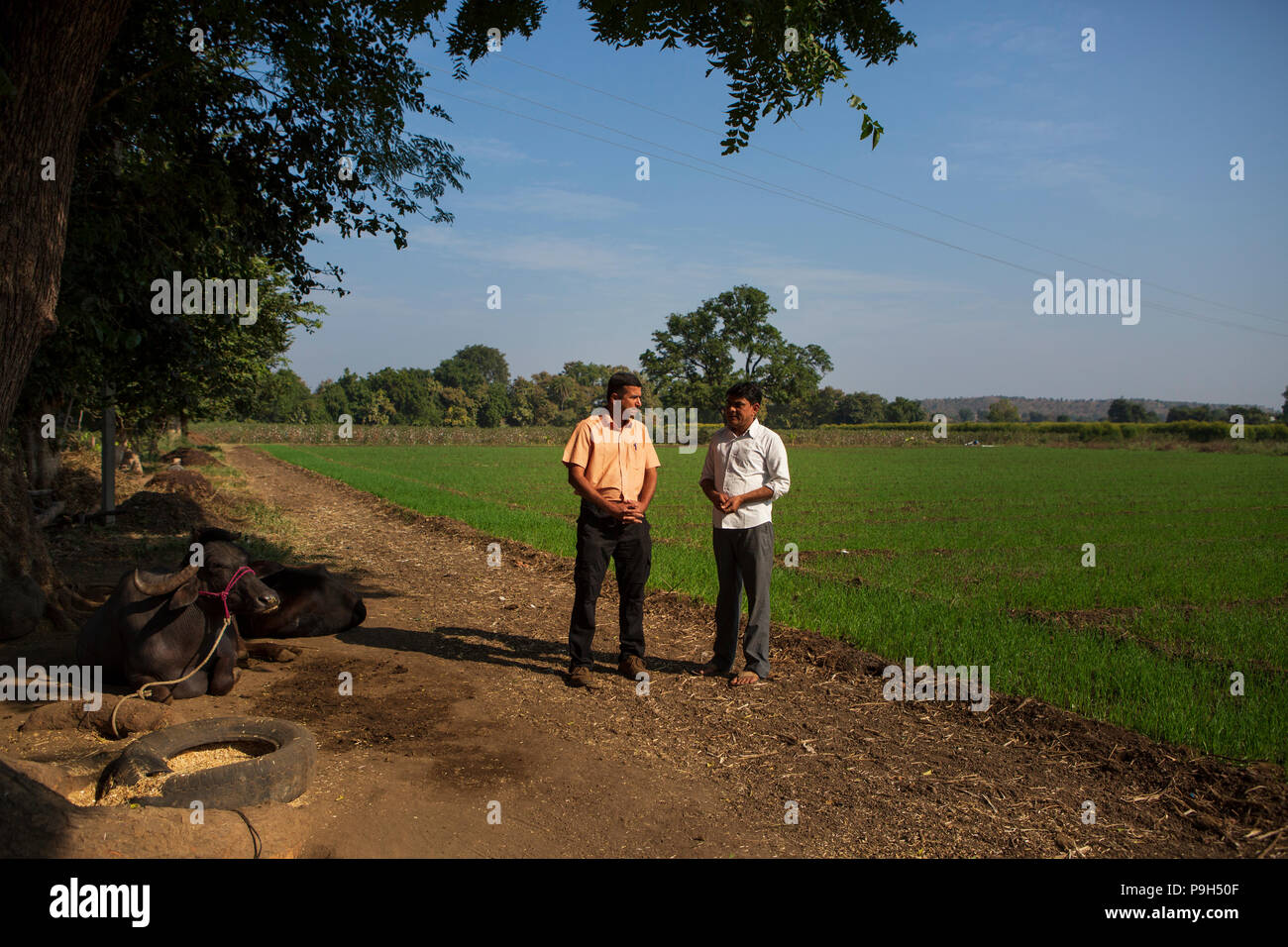 Zwei Landwirte sprechen neben einem Feld auf einem Bauernhof in Indien Stockfoto