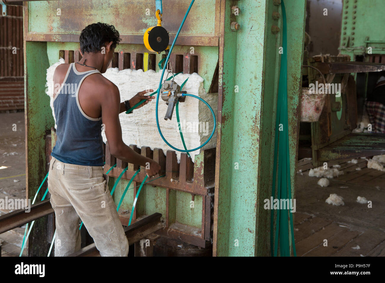 Baumwolle wird in einem entkörnungsunternehmen in Madhya Pradesh, Indien Entkörnt. Stockfoto