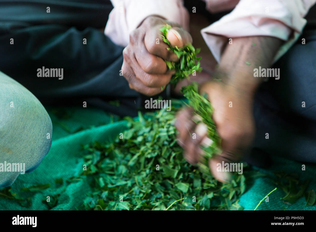 Eine Gruppe von lokalen männlichen Bauern erfahren Sie mehr über die Herstellung von organischem Dünger für ihre Betriebe an einem Farmer Field Schools, Sendhwa, Indien. Stockfoto