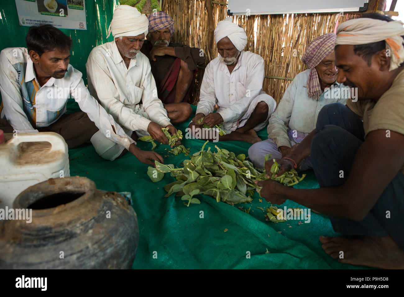 Eine Gruppe von lokalen männlichen Bauern erfahren Sie mehr über die Herstellung von organischem Dünger für ihre Betriebe an einem Farmer Field Schools, Sendhwa, Indien. Stockfoto