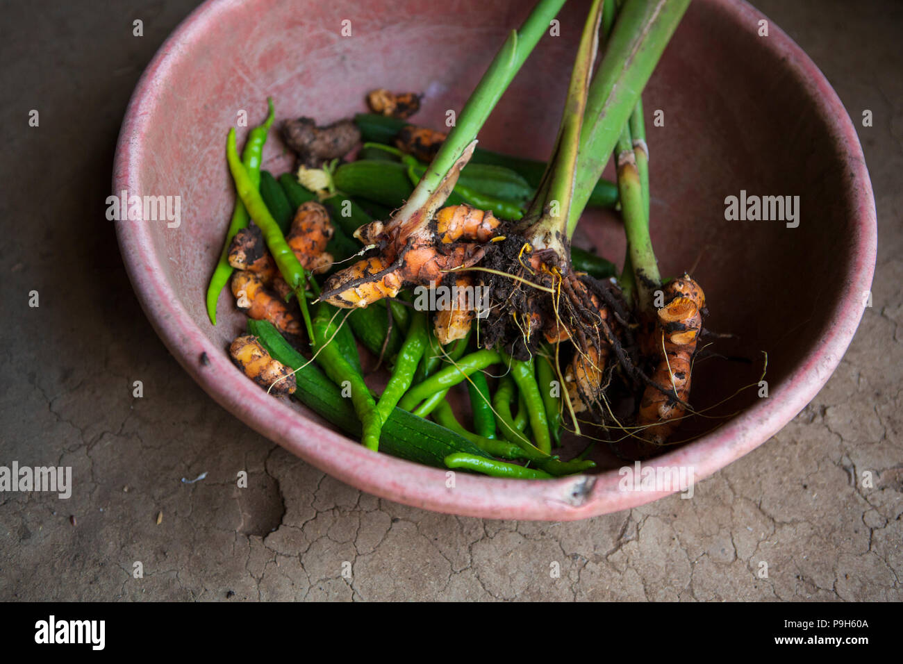 Eine rote Schale, frisch gepflückt Chili und Kurkuma auf einer Erde Stock eine Küche im ländlichen Indien. Stockfoto