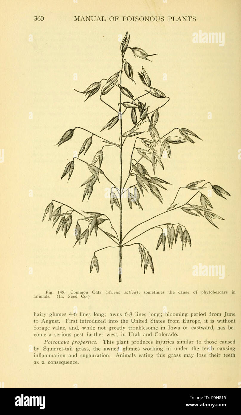 Ein Handbuch der giftigen Pflanzen (Seite 360, Abb. 149) Stockfoto