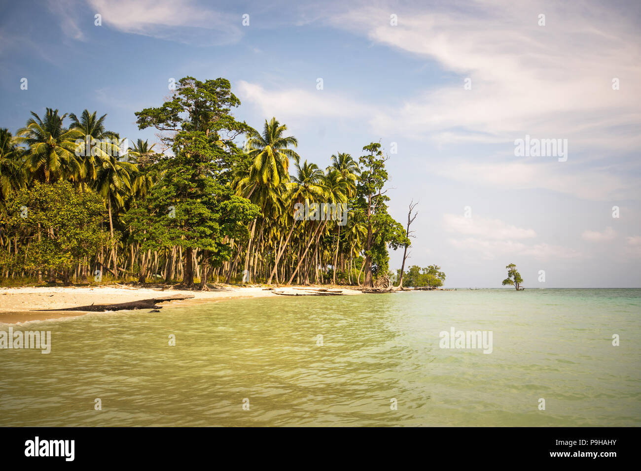 Perfekte native Caribbean Village auf Crystal Clear Island. San Blas, Panama. Mittelamerika. Die lateinamerikanische Kultur. Stockfoto