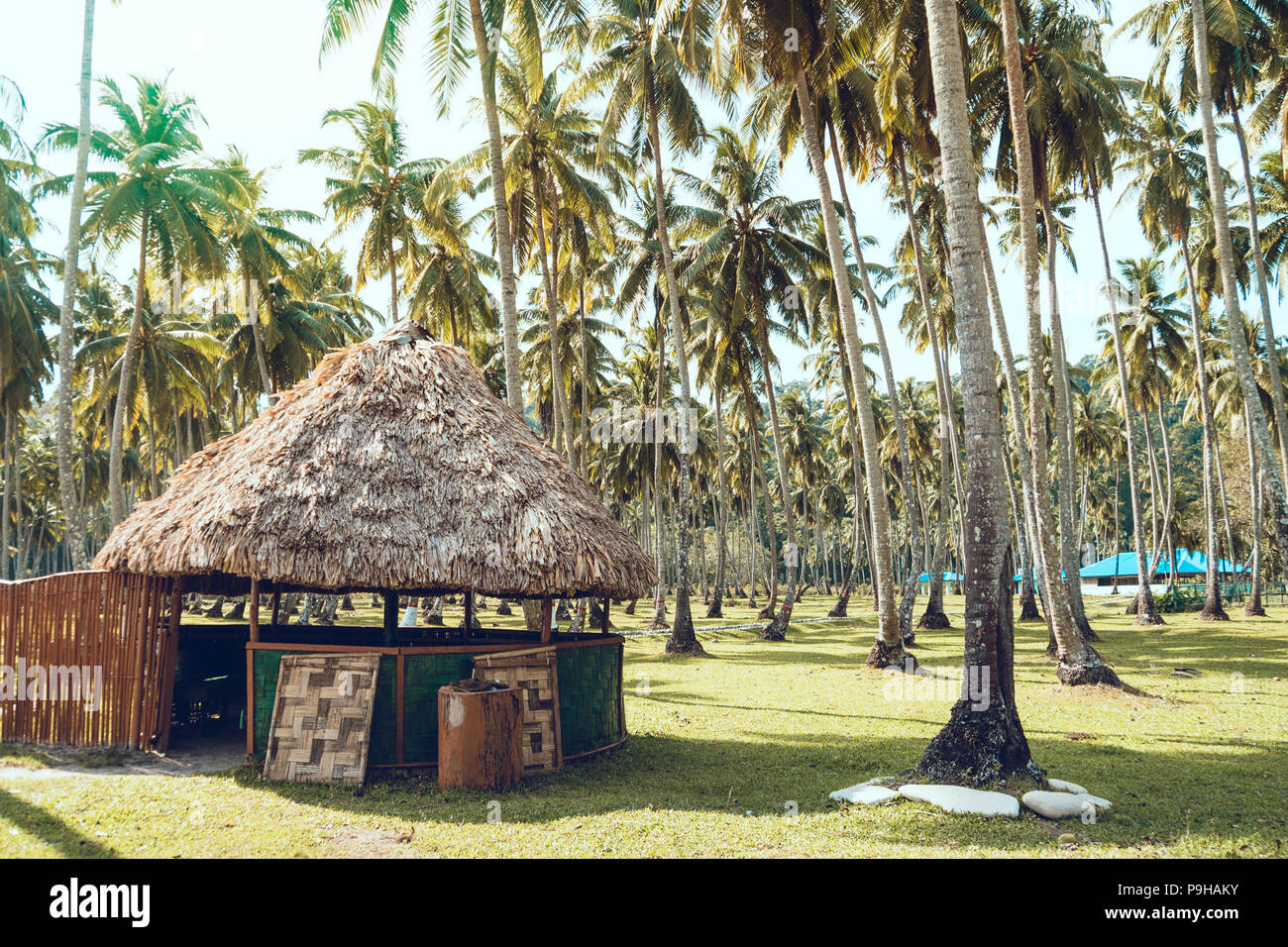 Pavillon mit Reetdach in einer künstlichen Palm Grove. Andaman und Nicobar Inseln. Long Island. Indien Stockfoto