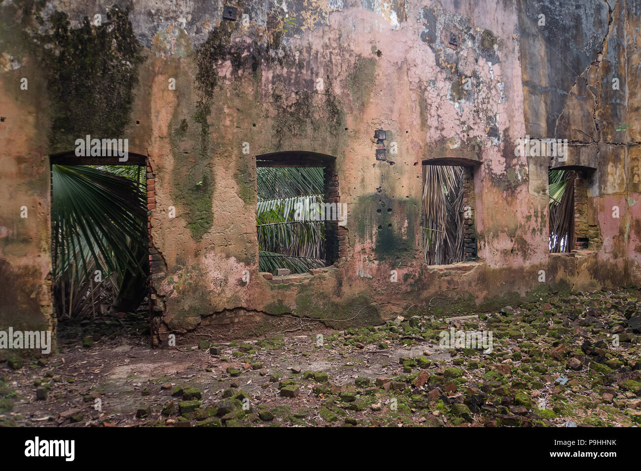 Verlassene Kirche Innenraum, wo Unkraut und Pflanzen auf die inneren Wände und Fenster wachsen. Zerbröckelte Steine lagen auf den Vordergrund Stockfoto