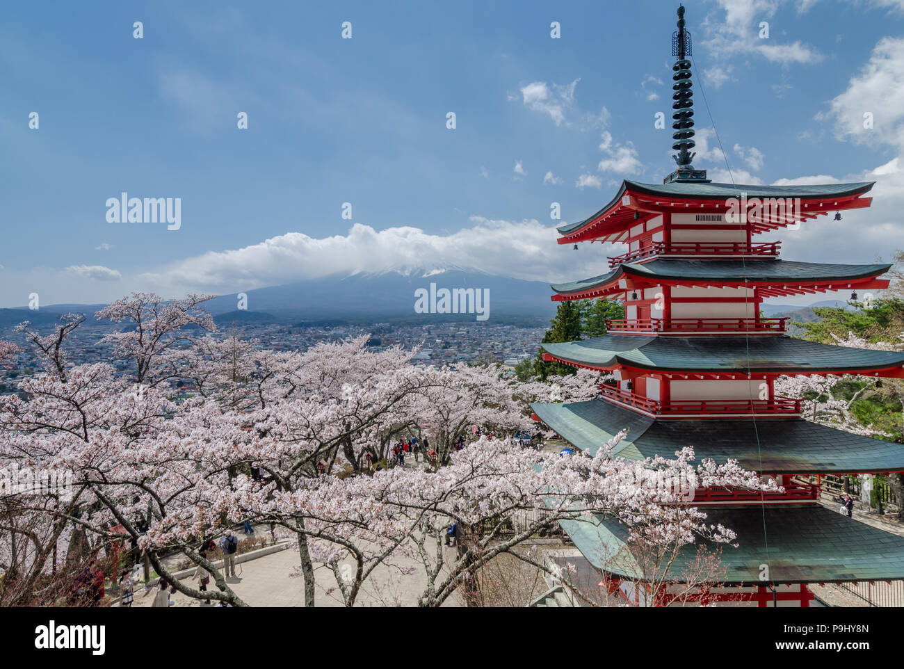 Chureito Pagode ist eine 5-stöckige Pagode auf einem Hügel mit Blick auf Mt. Fuji in Arakurayama Sengen Park. Die Pagode bieten beste Sicht auf den Berg. Fuji und Sakura. Stockfoto