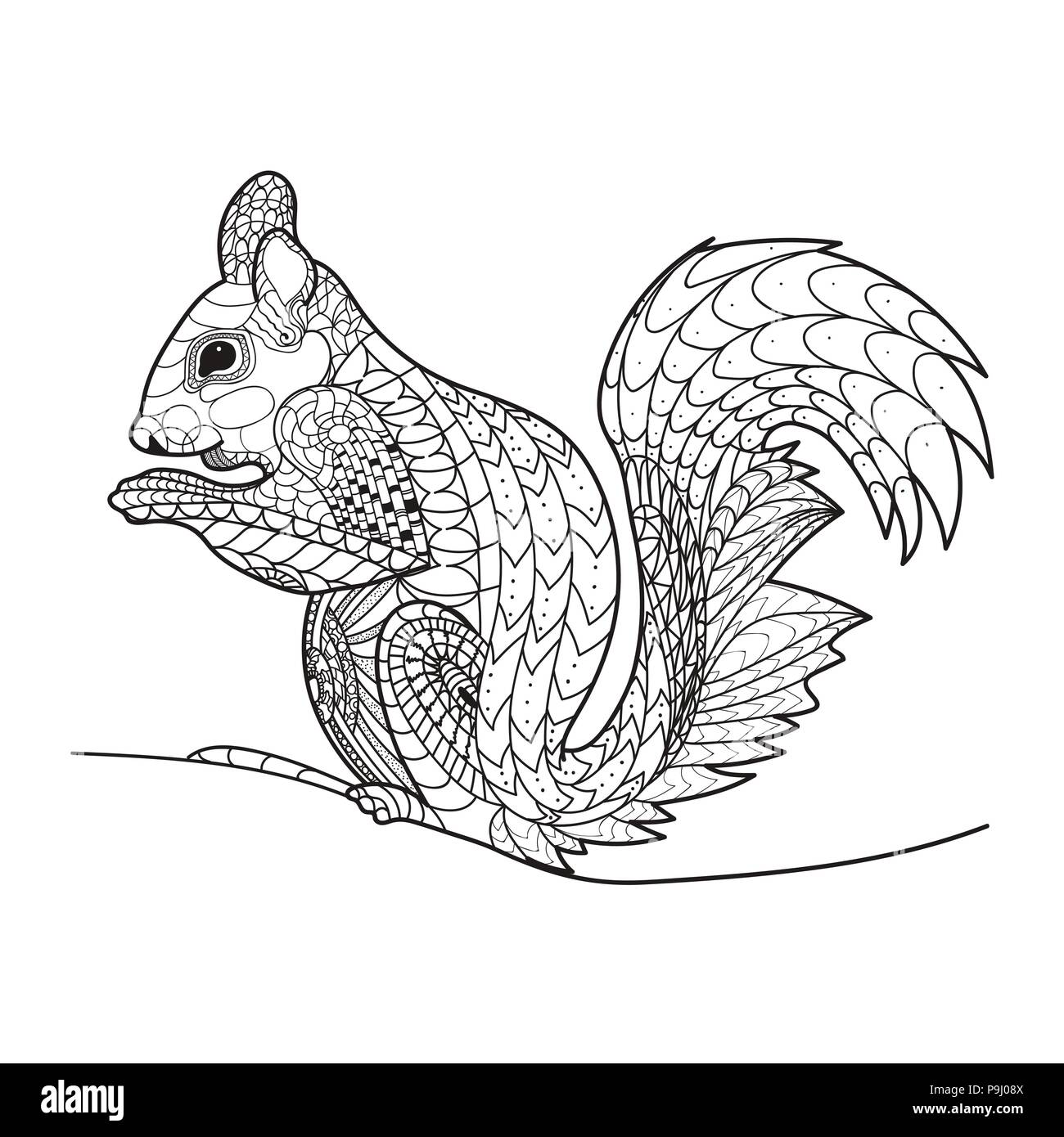 Eichhörnchen in einer Linie, Malbuch, Vector, Muster Stock Vektor