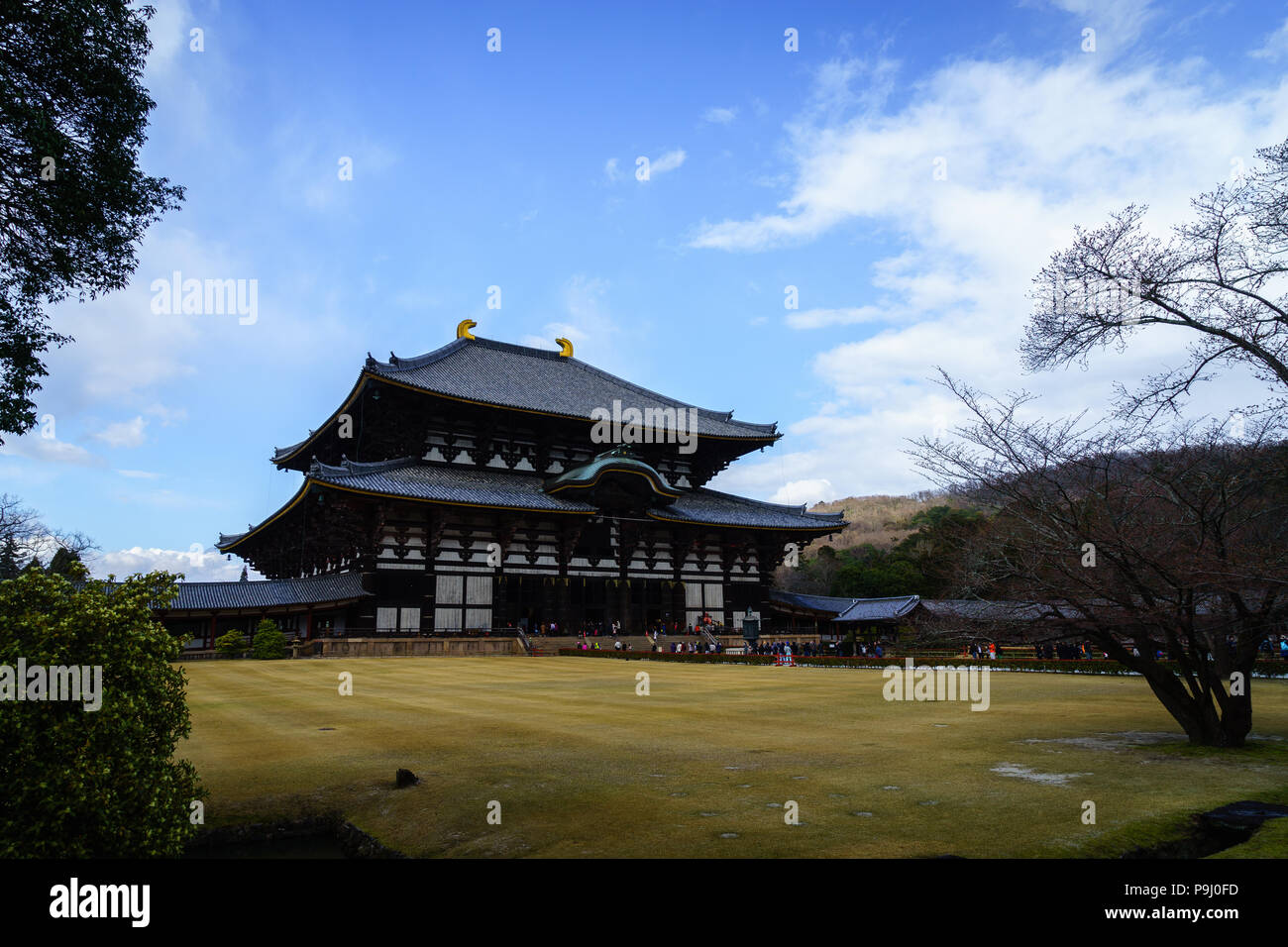 Wide Angle Shot von Todaiji Tempel, Nara, Japan Stockfoto