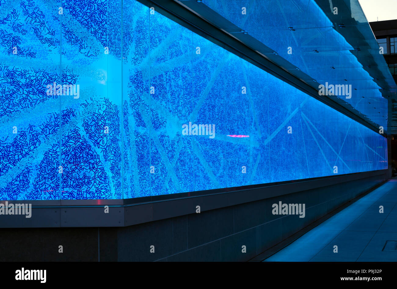 Allen Institut für Hirnforschung Seite von Gebäude mit bunten Wand der neurologische System des Gehirns. Stockfoto