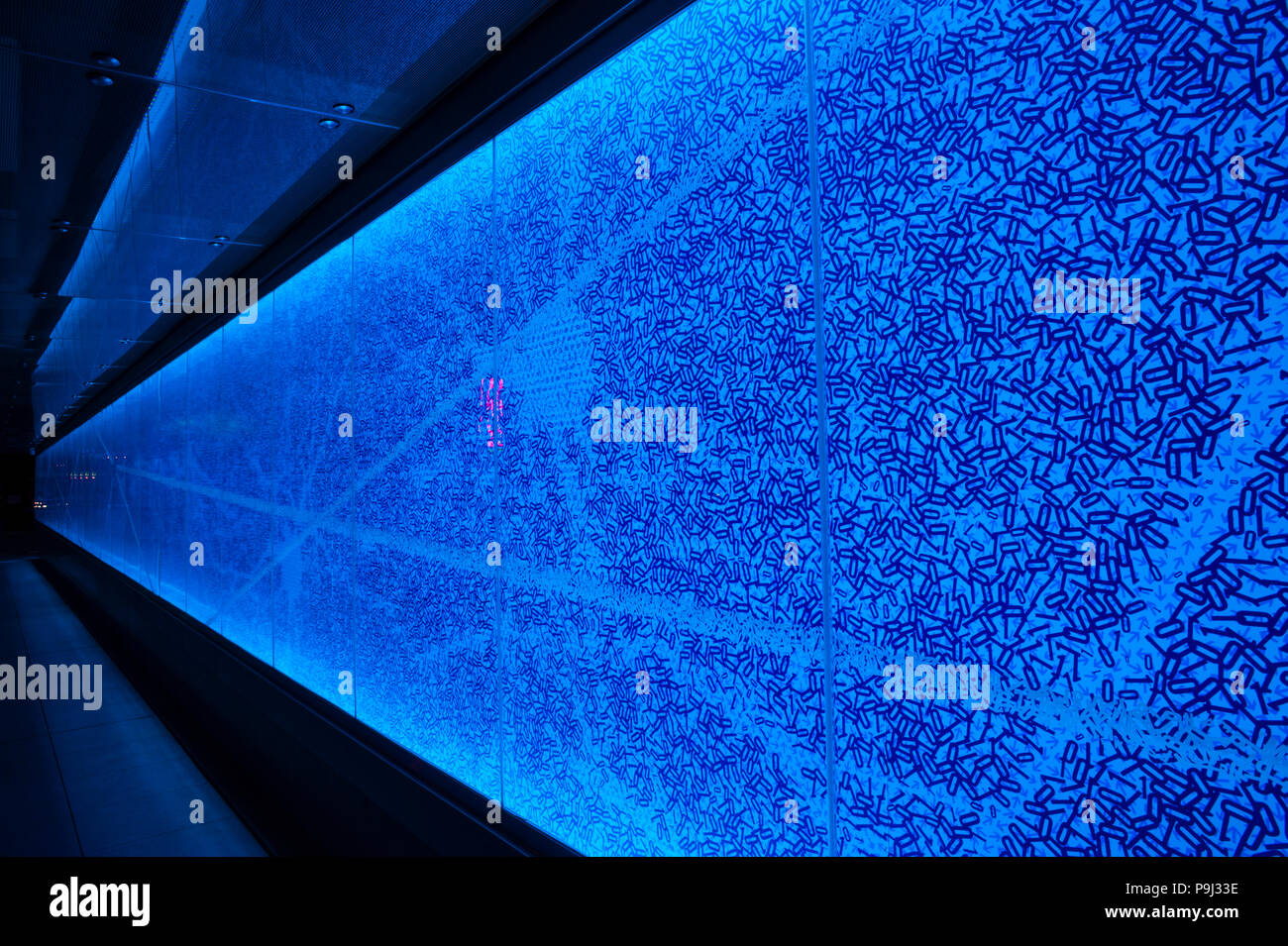Allen Institut für Hirnforschung Seite von Gebäude mit bunten Wand der neurologische System des Gehirns. Stockfoto