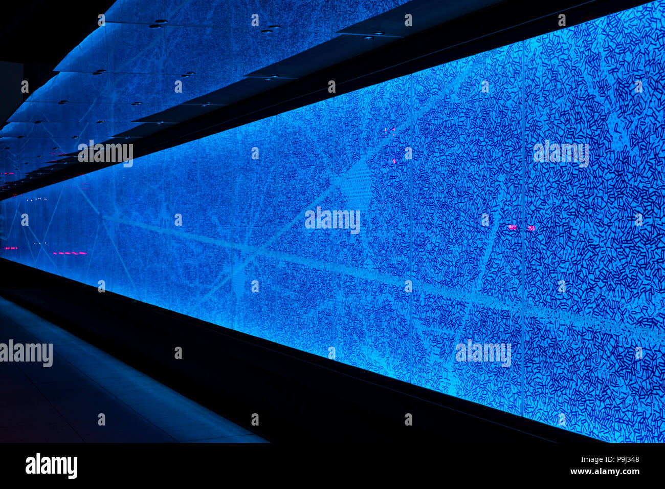 Allen Institut für Hirnforschung Seite von Gebäude mit bunten Wand der neurologische System des Gehirns. Stockfoto