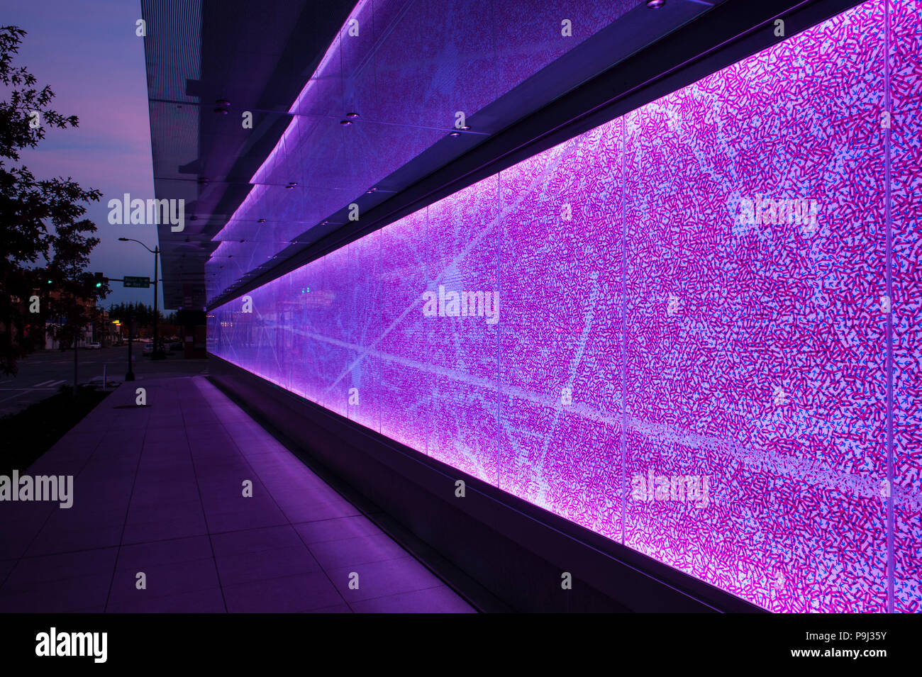 Allen Institut für Hirnforschung Seite von Gebäude mit bunten Wand der neurologische System des Gehirns. Stockfoto