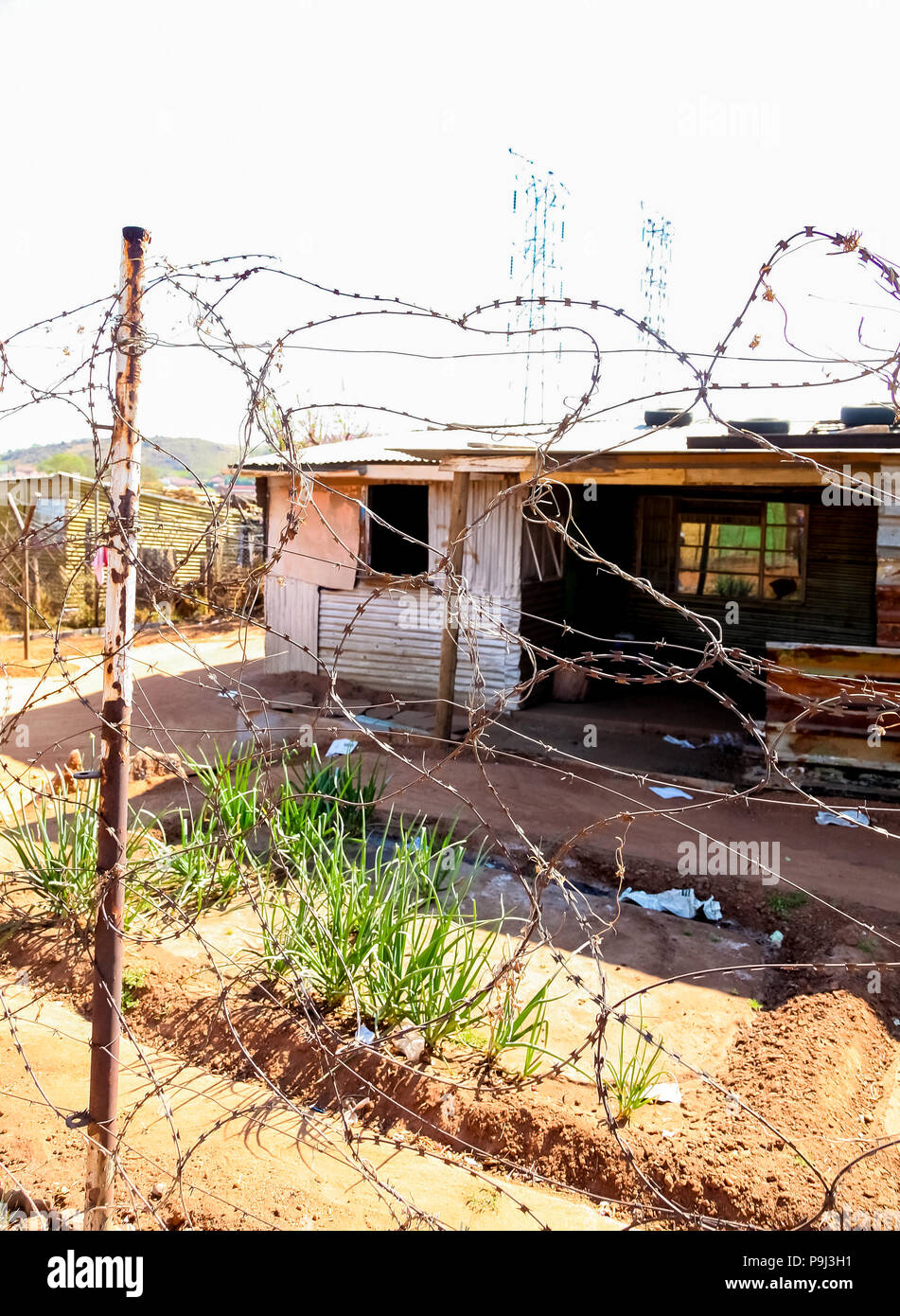 Johannesburg, Südafrika, 11. September 2011, Blick auf die niedrigen Einkommen Häuser in einem Vorort von Soweto Nachbarschaft Stockfoto
