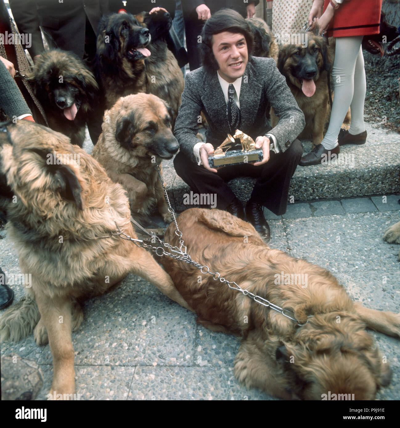 Der Sänger Salvatore Adamo, in Sizilien mit belgischen Pass geboren,  zwischen großen Hunden gestellt, wenn er mit der "goldenen Hund' für hohe  rekordumsatz ausgezeichnet wurde. Foto vom 31.03.1971. | Verwendung  weltweit Stockfotografie - Alamy