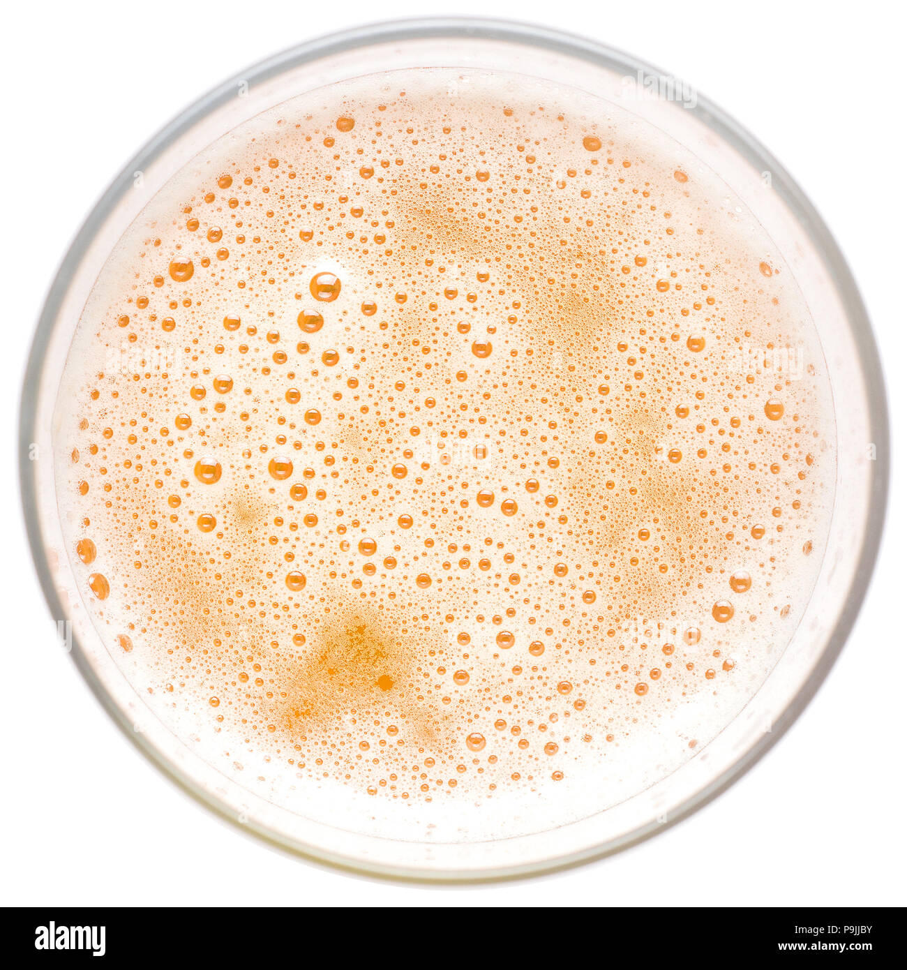 Bier Schaum, die Draufsicht, in ein Bierglas auf weißem Hintergrund Stockfoto