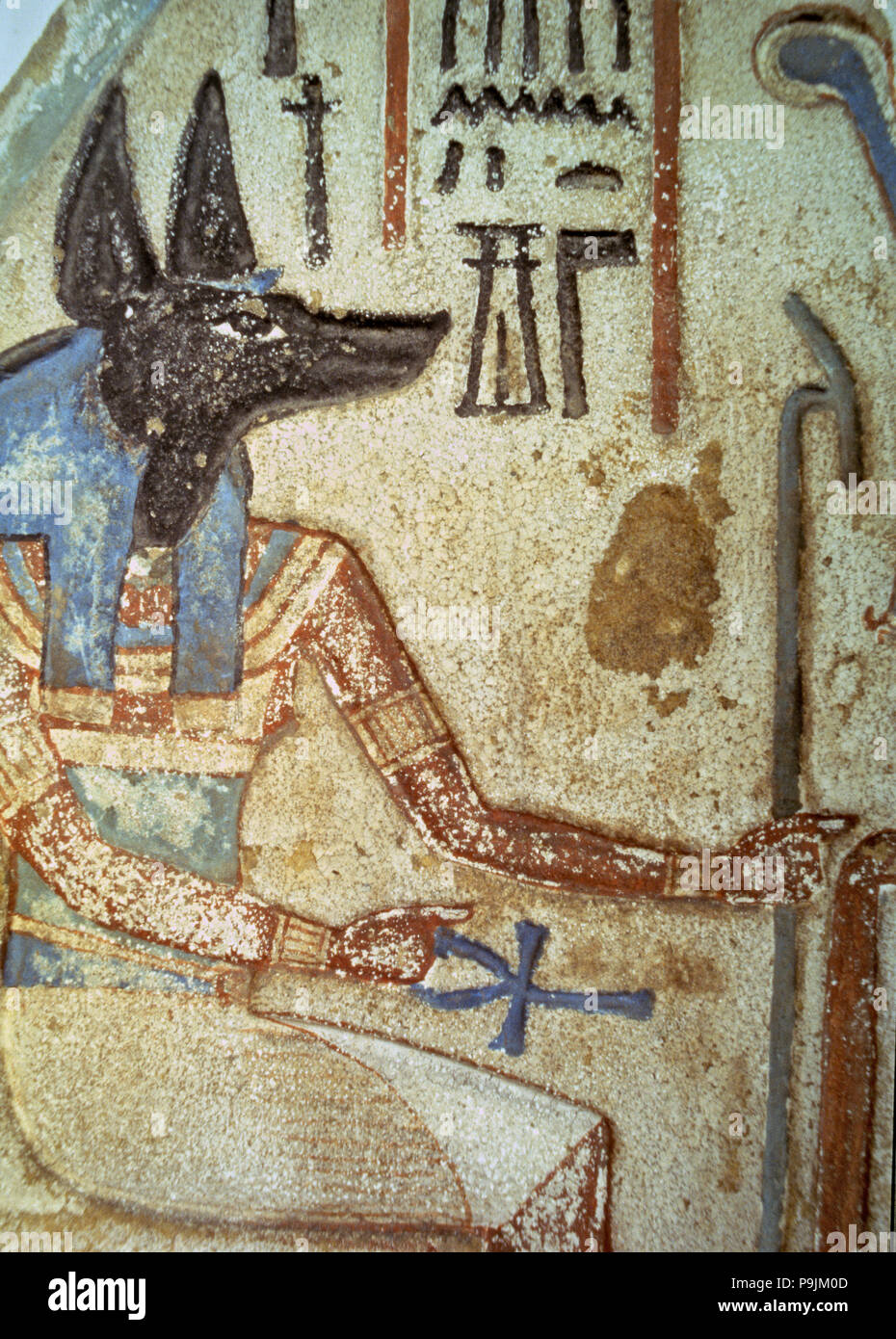 Detail des Gottes Anubis in einem vertrauten Stele aus einer Kapelle der Anbetung. Stockfoto