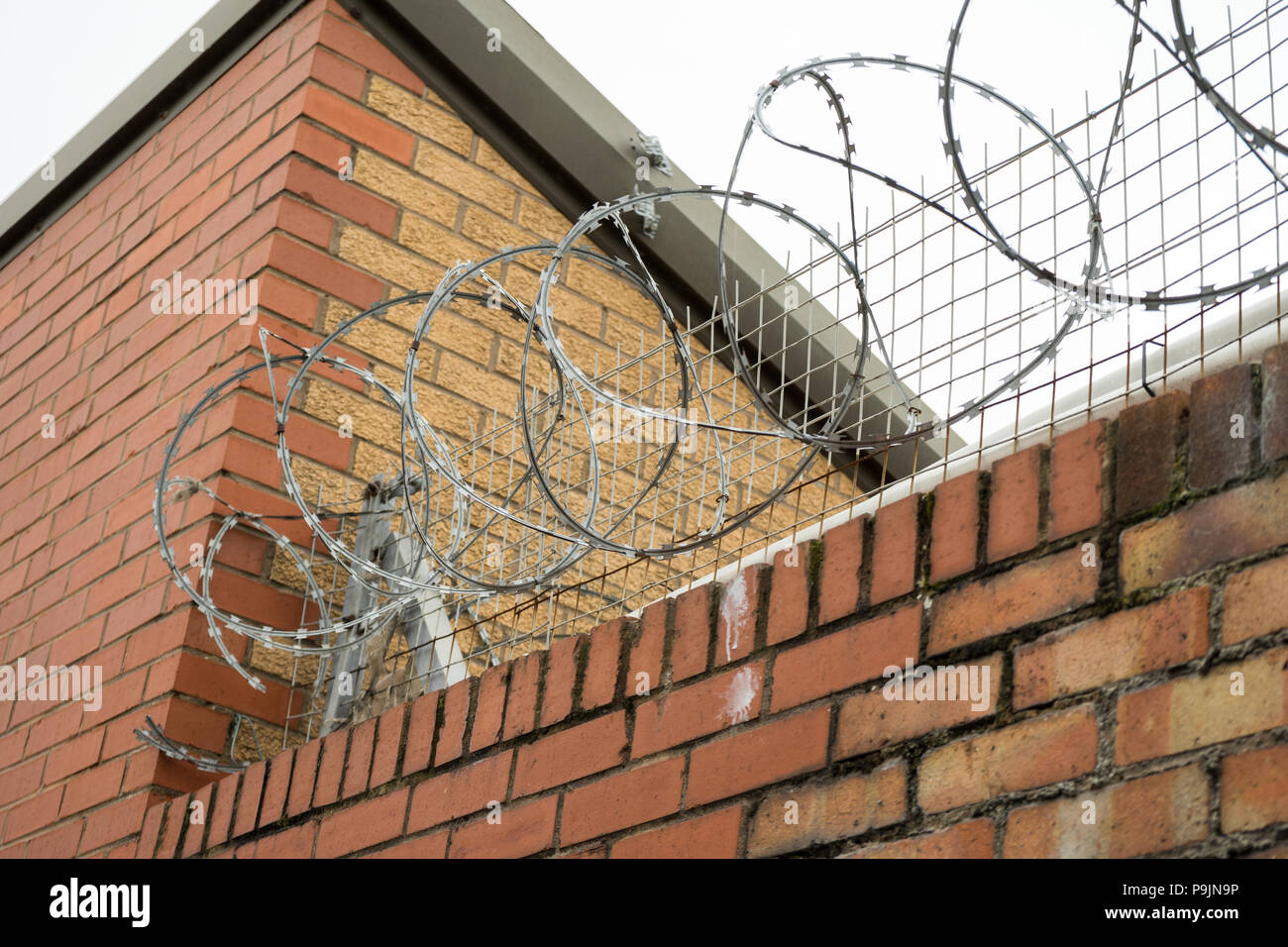 Wand mit Sicherheit Gitter und Stacheldraht Stockfoto