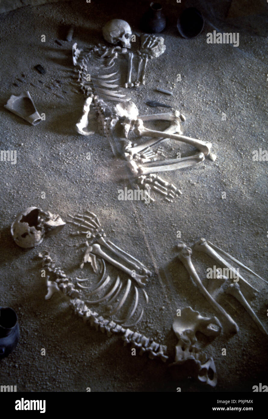 Kollektive Bestattung, nekropole Ponte San Pietro (Lazio), Detail von zwei erwachsenen Skelette von einem Mann ein… Stockfoto