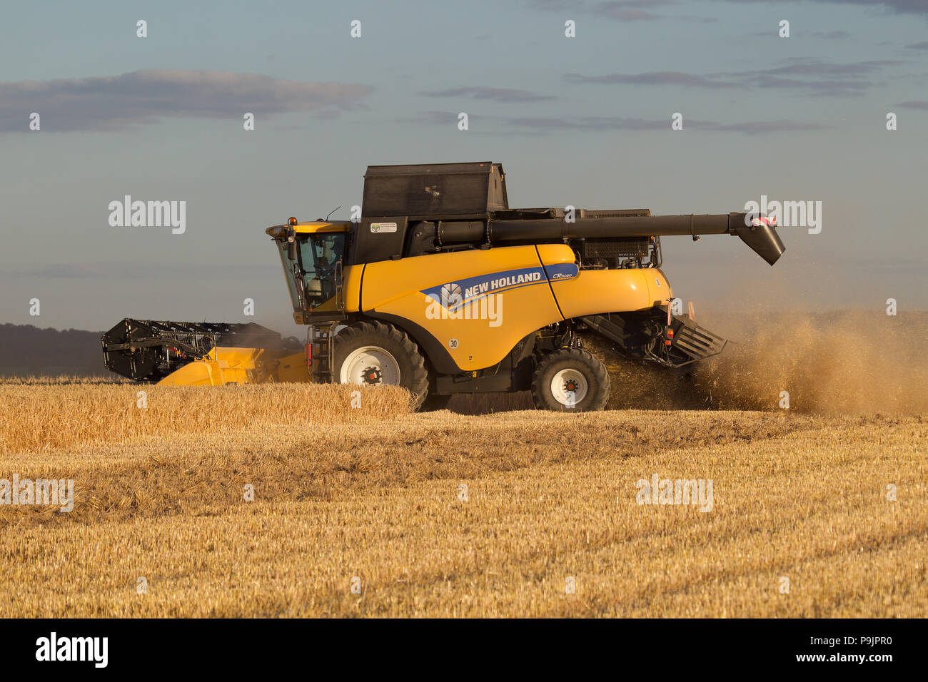 Feldhäcksler ernten Gerste auf einem Feld, Getreideernte, Sachsen, Deutschland Stockfoto
