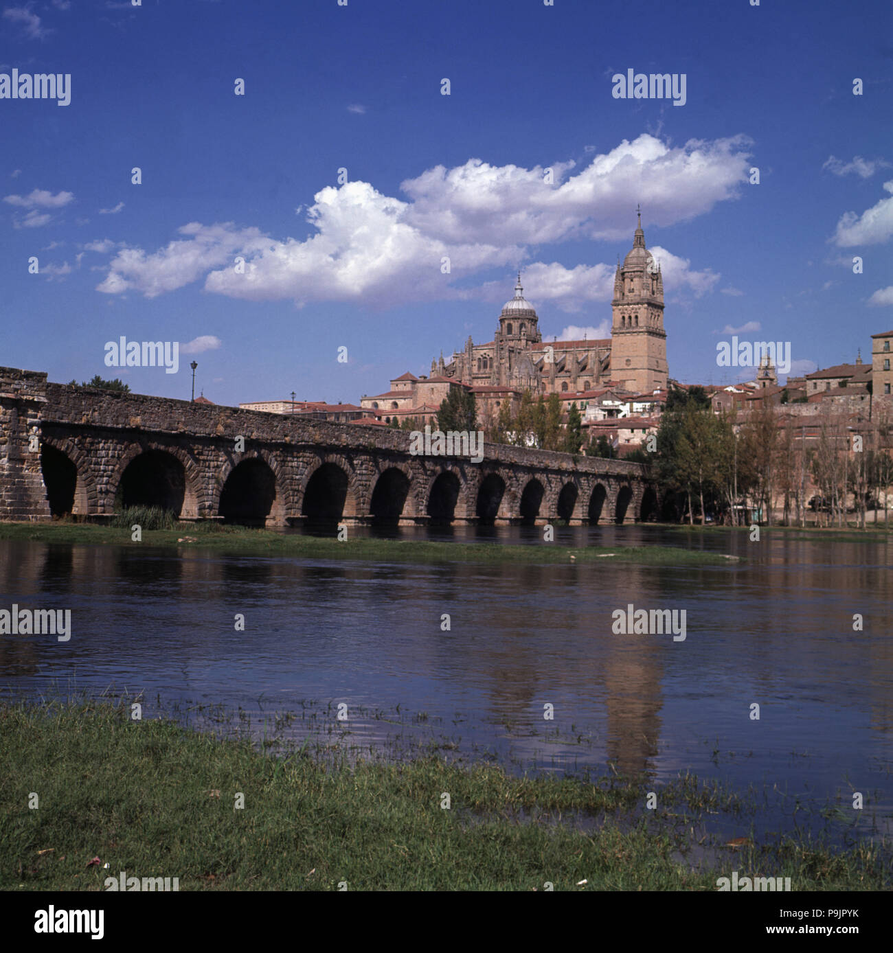 Salamanca. Blick auf die römische Brücke über den Fluss Tormes mit dem Dom im Hintergrund. Stockfoto