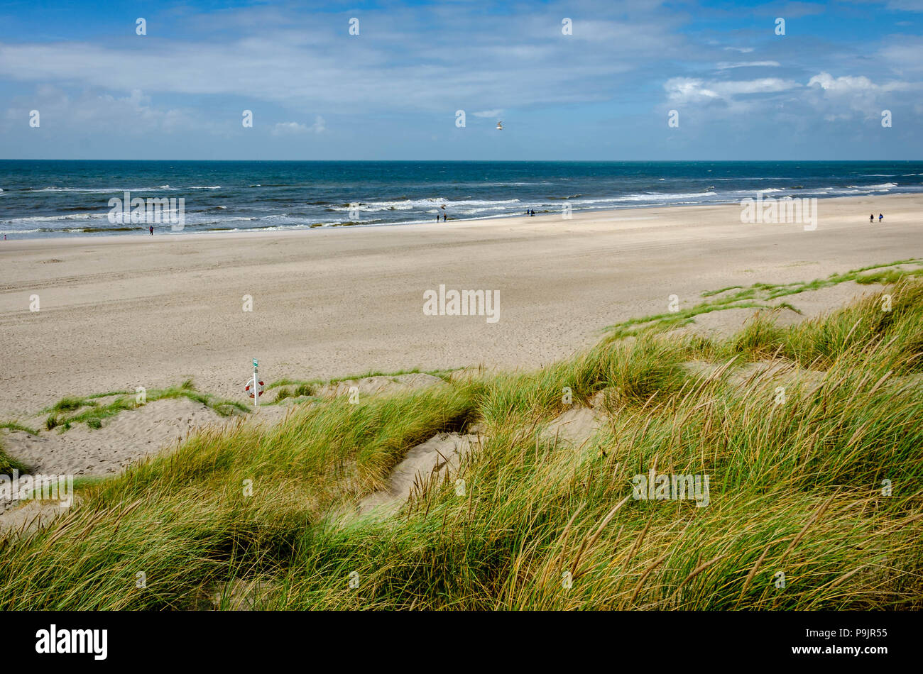 Denmark henne beach Fotos und Bildmaterial in hoher Auflösung Alamy