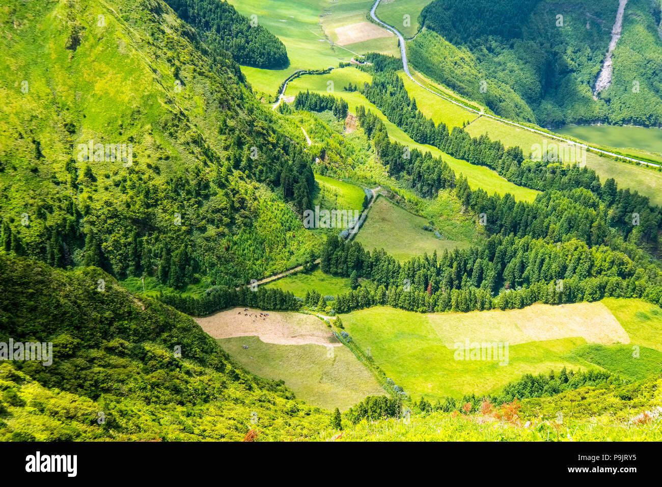Fruchtbaren hängen Der ruhende Vulkan bei Sete Cidades, Sao Miguel, Azoren Stockfoto