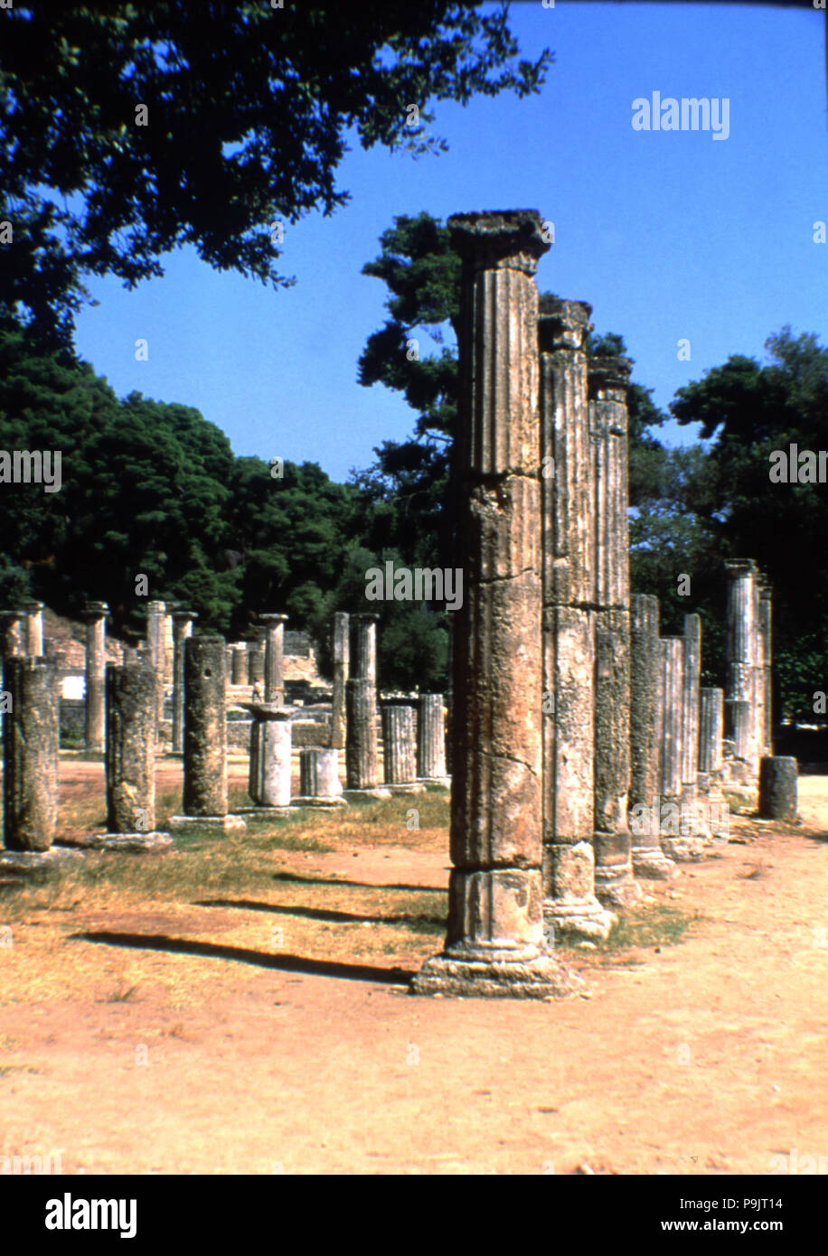 Blick auf die dorischen Säulen von Olympia. Stockfoto