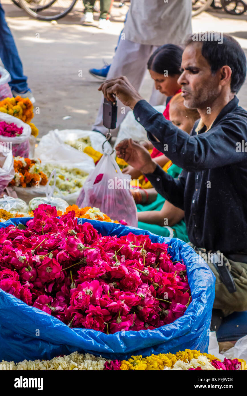 Indian flower Vendor wiegen Blumen mit einem in der Hand gehaltenen Skala, Old Delhi, Delhi, Indien Stockfoto